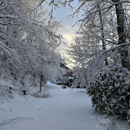 Alte Muehle- Mitten Im Gruenen