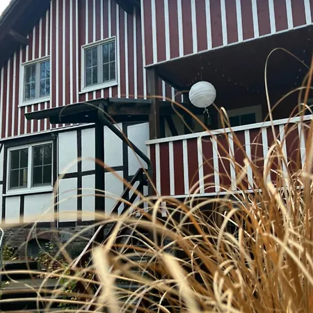 Alte Muehle- Mitten Im Gruenen Дом отдыха *