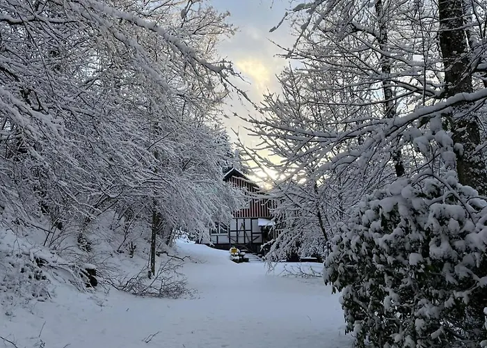 Alte Muehle- Mitten Im Gruenen