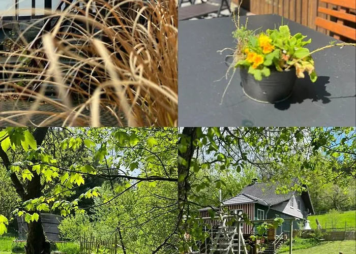 Alte Muehle- Mitten Im Gruenen *